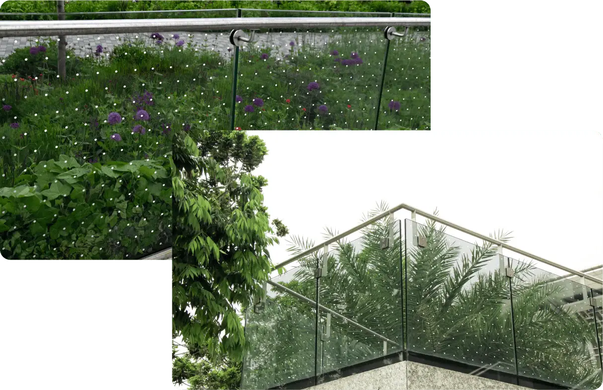 Feather Friendly Bird Safe Film