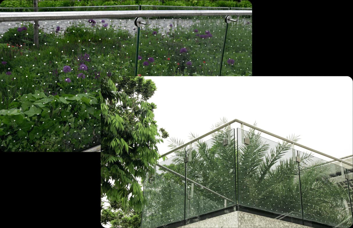 Feather Friendly Bird Safe Film